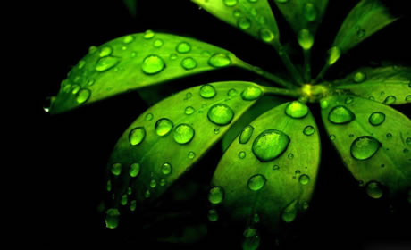 護(hù)眼達(dá)人